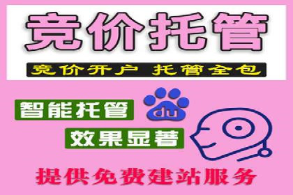 SEM竞价优化实战：提升转化率案例分析
